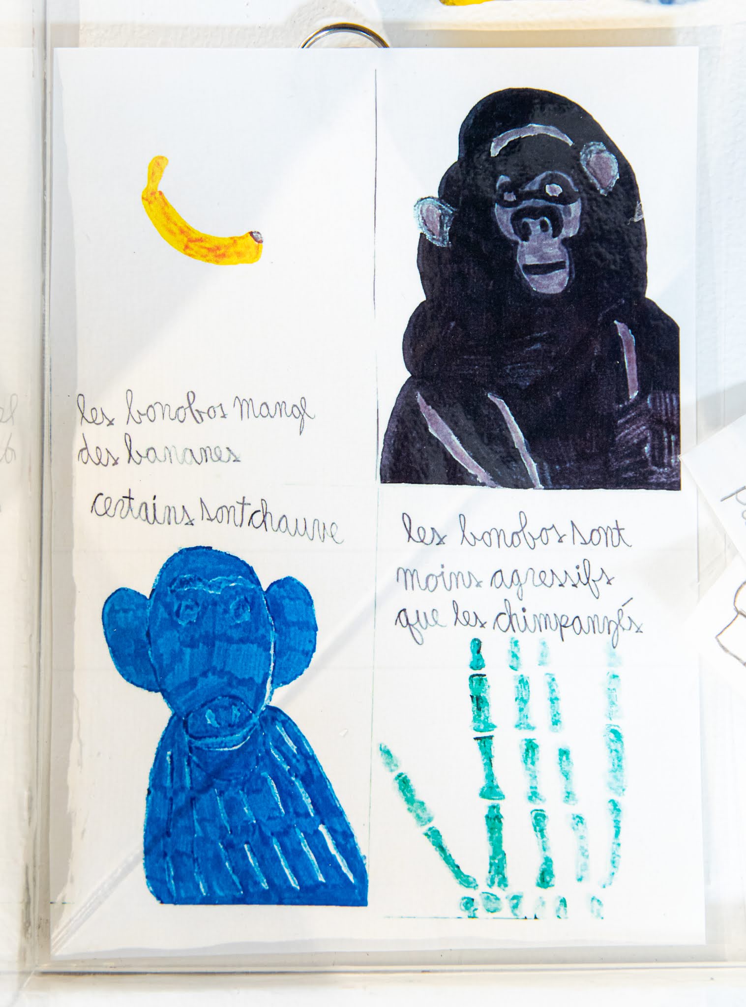 Oeuvre de Benjamin Pelletier
