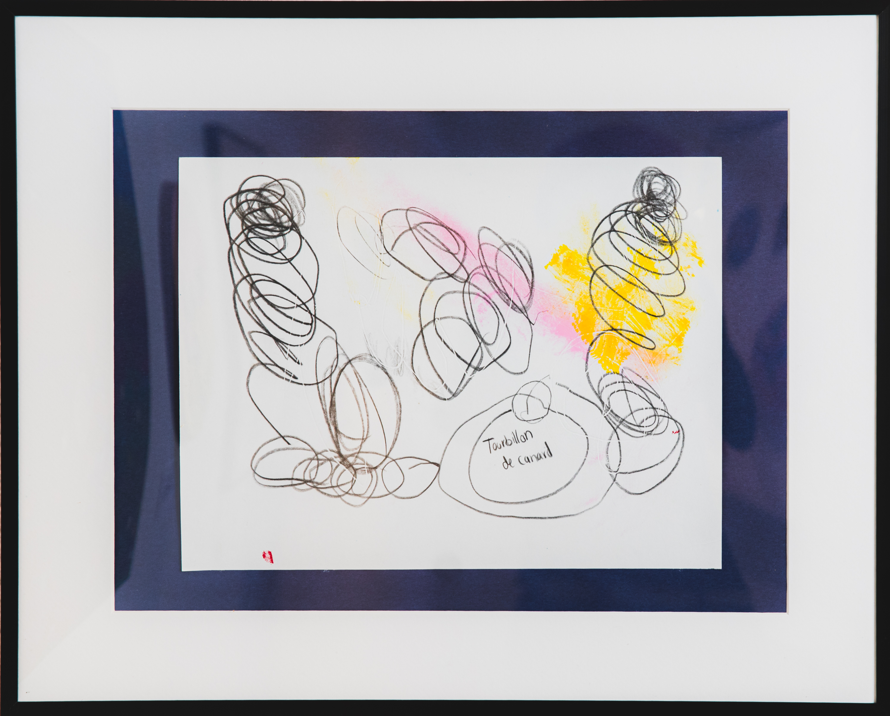 Le tourbillon de canard