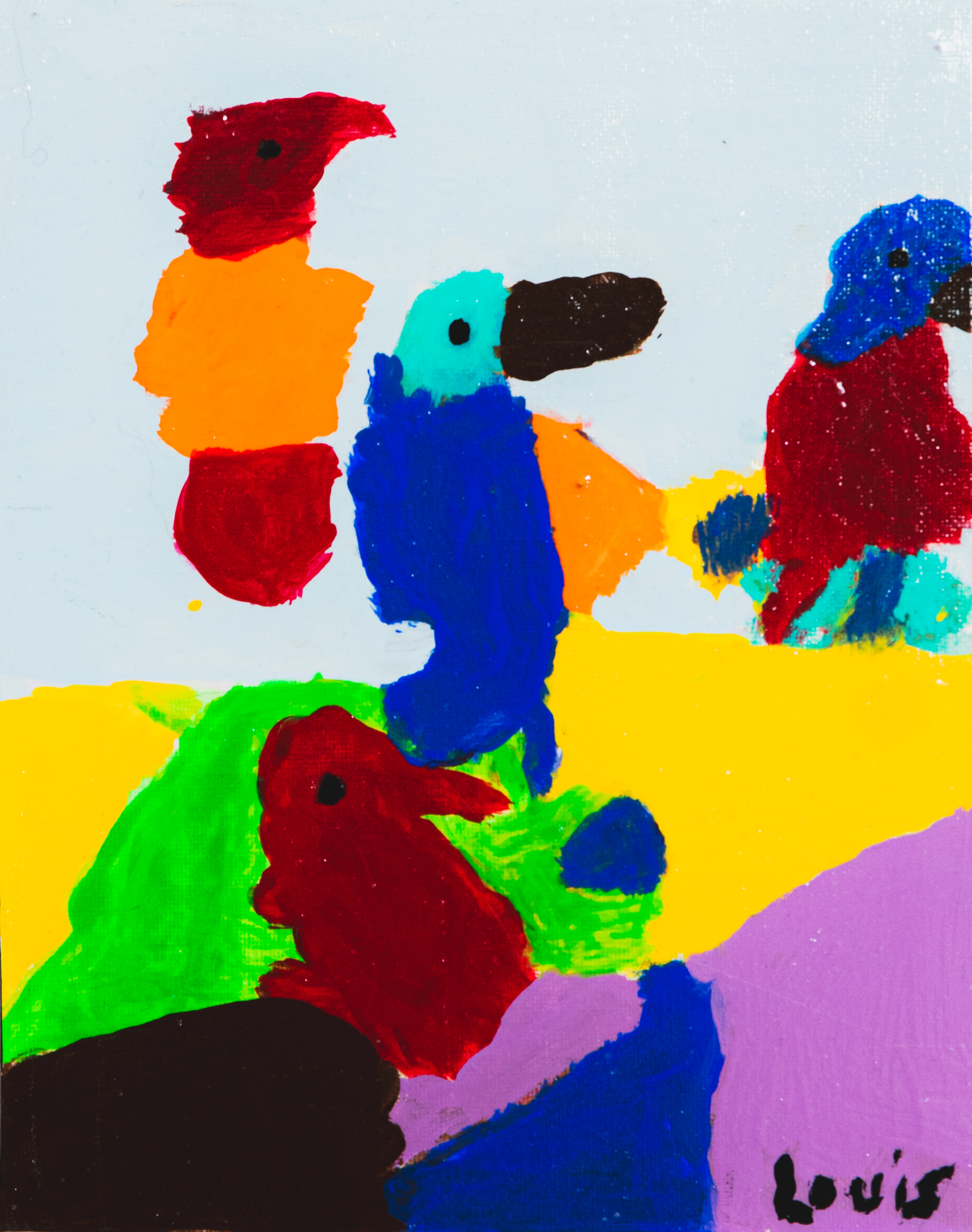 Les oiseaux de la terre