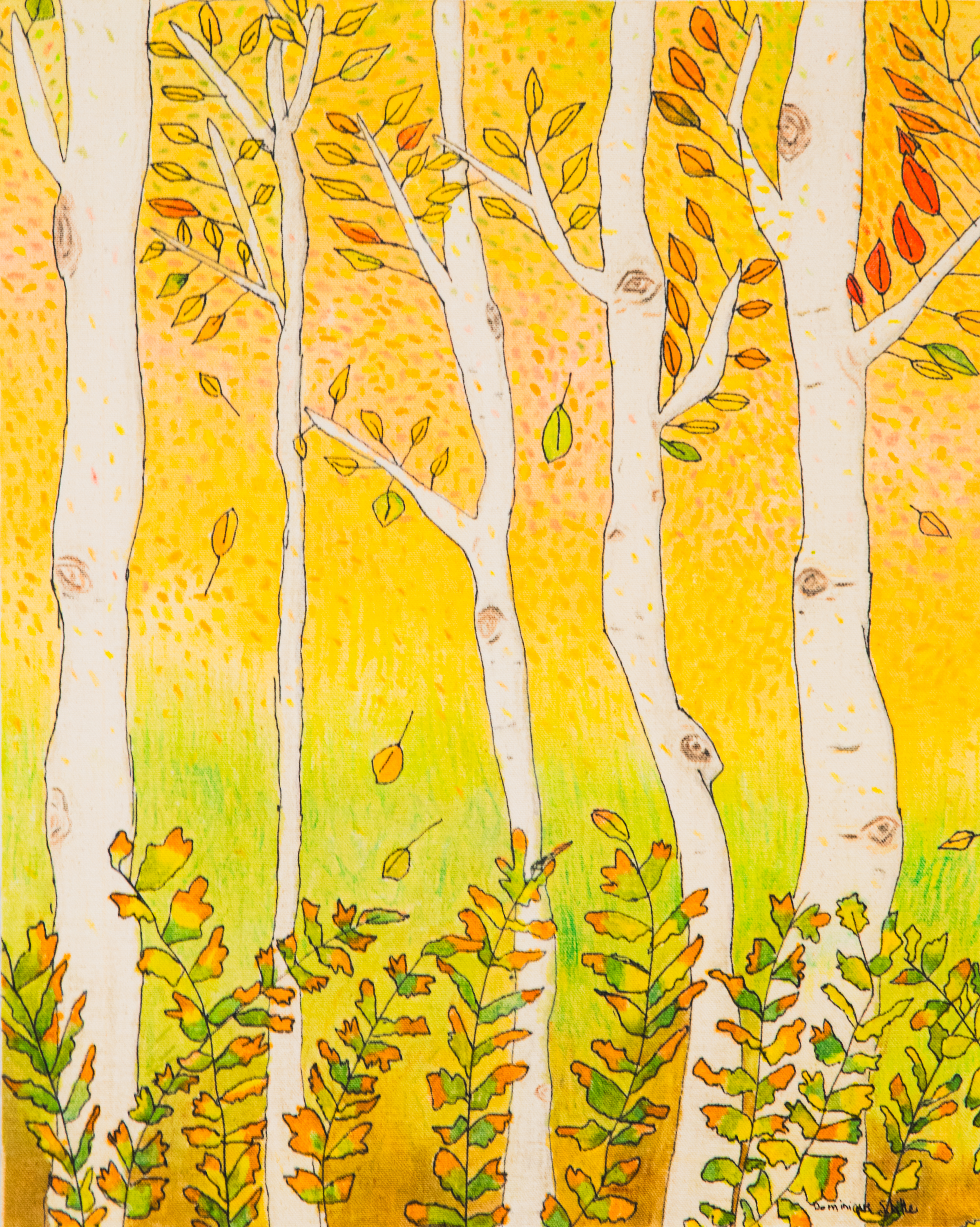 Les bouleaux d'automne