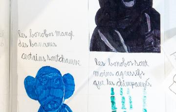 Oeuvre de Benjamin Pelletier