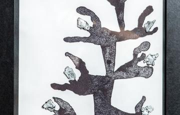 photo de l'œuvre de Fritz Cameau