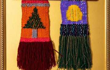 Le soleil et l'arbre