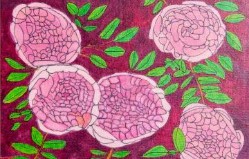 Les fleurs du jardin